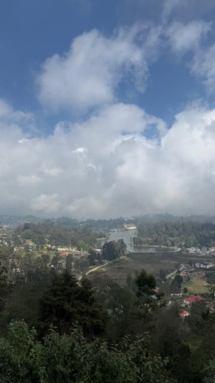 Mist & Silence in Kodai — Kodaikanal, Tamil Nadu